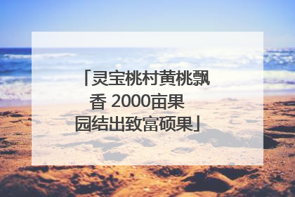 灵宝桃村黄桃飘香 2000亩果园结出致富硕果