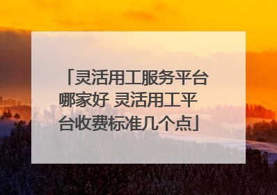 灵活用工服务平台哪家好 灵活用工平台收费标准几个点