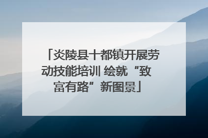 炎陵县十都镇开展劳动技能培训 绘就“致富有路”新图景