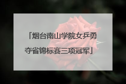 烟台南山学院女乒勇夺省锦标赛三项冠军