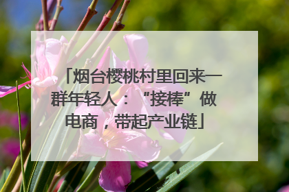 烟台樱桃村里回来一群年轻人：“接棒”做电商，带起产业链