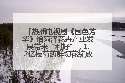 热播电视剧《国色芳华》给菏泽花卉产业发展带来“利好”，1.2亿枝芍药鲜切花绽放“国色芳华”