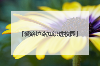 爱路护路知识进校园