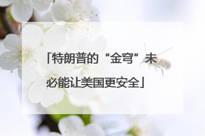 特朗普的“金穹”未必能让美国更安全