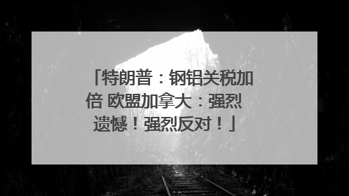 特朗普：钢铝关税加倍 欧盟加拿大：强烈遗憾！强烈反对！