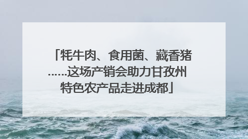 牦牛肉、食用菌、藏香猪……这场产销会助力甘孜州特色农产品走进成都