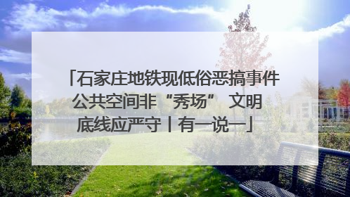 石家庄地铁现低俗恶搞事件 公共空间非“秀场” 文明底线应严守丨有一说一