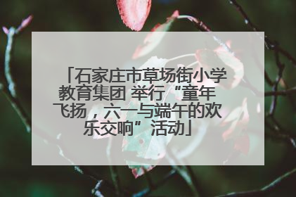 石家庄市草场街小学教育集团 举行“童年飞扬，六一与端午的欢乐交响”活动