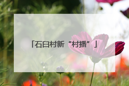 石臼村新“村播”