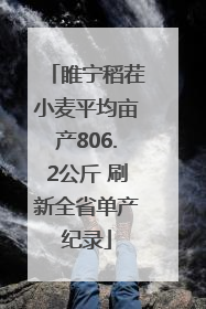 睢宁稻茬小麦平均亩产806.2公斤 刷新全省单产纪录
