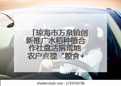 琼海市万泉镇创新推广水稻种植合作社盘活撂荒地 农户喜提“粮食+钞票”分红