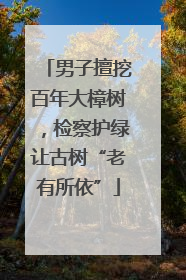 男子擅挖百年大樟树，检察护绿让古树“老有所依”