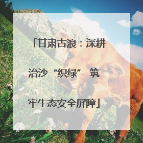 甘肃古浪：深耕治沙“织绿” 筑牢生态安全屏障