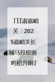 甘肃嘉峪关：2025嘉峪关长城马拉松赛鸣枪开跑