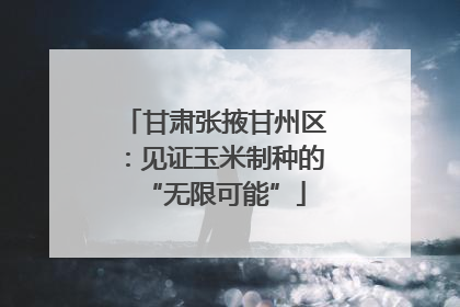 甘肃张掖甘州区：见证玉米制种的“无限可能”