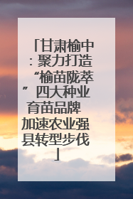 甘肃榆中：聚力打造“榆苗陇萃”四大种业育苗品牌 加速农业强县转型步伐