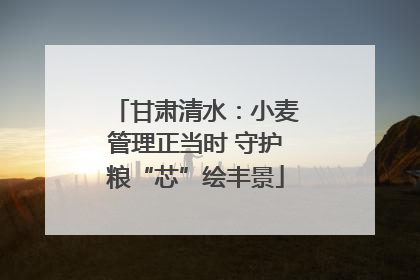 甘肃清水：小麦管理正当时 守护粮“芯”绘丰景