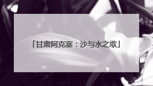 甘肃阿克塞：沙与水之歌