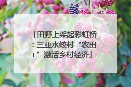 田野上架起彩虹桥：三亚水蛟村“农田+”激活乡村经济