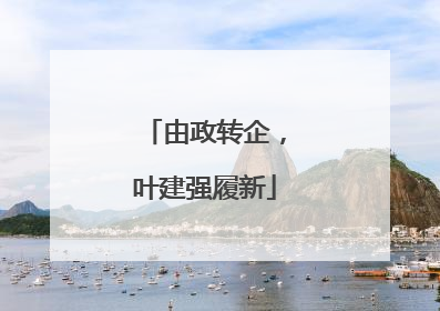 由政转企，叶建强履新
