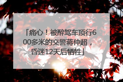 痛心！被醉驾车顶行600多米的交警蒋仲超，昏迷12天后牺牲