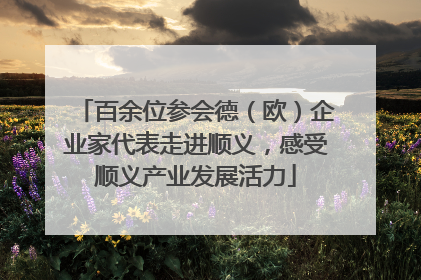 百余位参会德（欧）企业家代表走进顺义，感受顺义产业发展活力