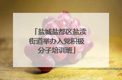 盐城盐都区盐渎街道举办入党积极分子培训班