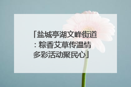 盐城亭湖文峰街道：粽香艾草传温情 多彩活动聚民心