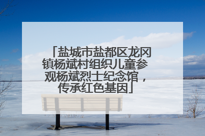 盐城市盐都区龙冈镇杨斌村组织儿童参观杨斌烈士纪念馆，传承红色基因