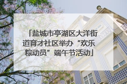 盐城市亭湖区大洋街道育才社区举办“欢乐粽动员”端午节活动