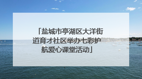 盐城市亭湖区大洋街道育才社区举办七彩护航爱心课堂活动