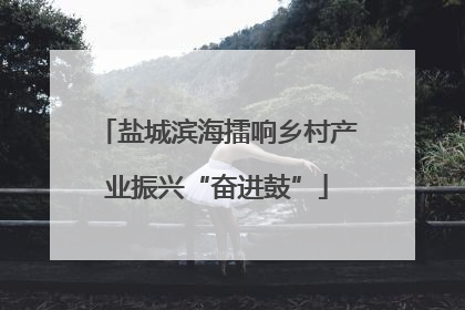 盐城滨海擂响乡村产业振兴“奋进鼓”