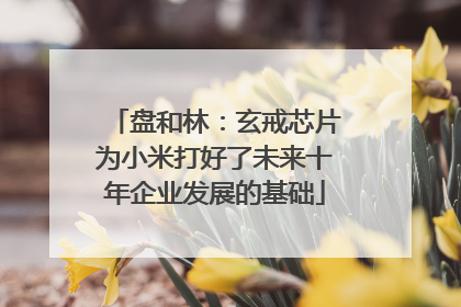 盘和林：玄戒芯片为小米打好了未来十年企业发展的基础