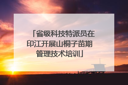 省级科技特派员在印江开展山桐子苗期管理技术培训