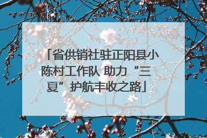 省供销社驻正阳县小陈村工作队 助力“三夏”护航丰收之路
