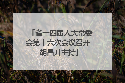 省十四届人大常委会第十六次会议召开 胡昌升主持