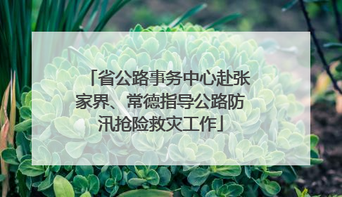 省公路事务中心赴张家界、常德指导公路防汛抢险救灾工作