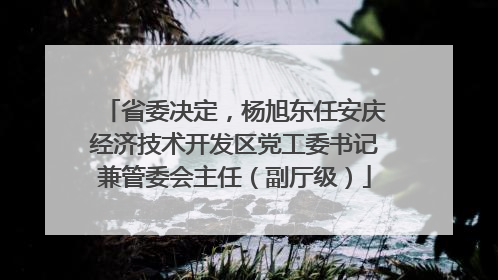 省委决定，杨旭东任安庆经济技术开发区党工委书记兼管委会主任（副厅级）