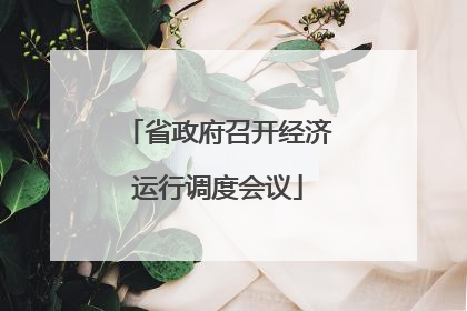 省政府召开经济运行调度会议