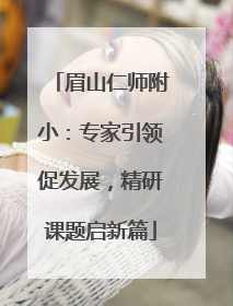 眉山仁师附小：专家引领促发展，精研课题启新篇