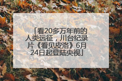 看20多万年前的人类远征，川台纪录片《看见皮洛》6月24日起登陆央视