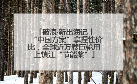 破浪·新出海记丨 “中国方案”拿捏性价比，全球近万艘巨轮用上镇江“节能桨”