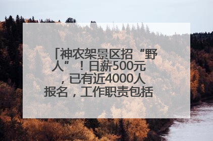 神农架景区招“野人”！日薪500元，已有近4000人报名，工作职责包括“接受游客投喂”