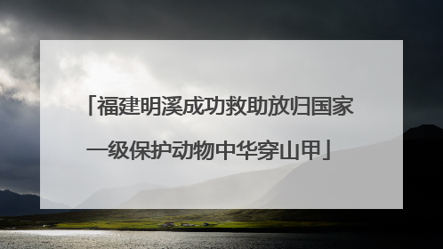 福建明溪成功救助放归国家一级保护动物中华穿山甲