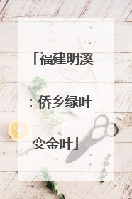 福建明溪：侨乡绿叶变金叶