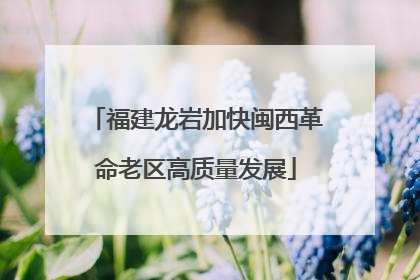 福建龙岩加快闽西革命老区高质量发展