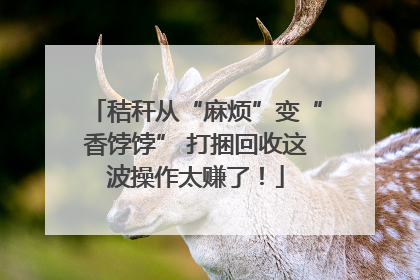 秸秆从“麻烦”变“香饽饽” 打捆回收这波操作太赚了！