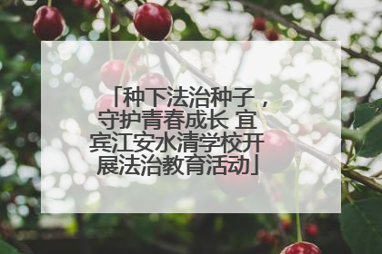 种下法治种子，守护青春成长 宜宾江安水清学校开展法治教育活动