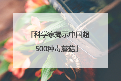 科学家揭示中国超500种毒蘑菇