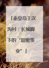 秦皇岛王汉沟村：长城脚下的“甜蜜事业”